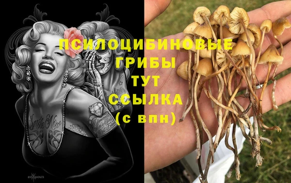 спиды Алексеевка