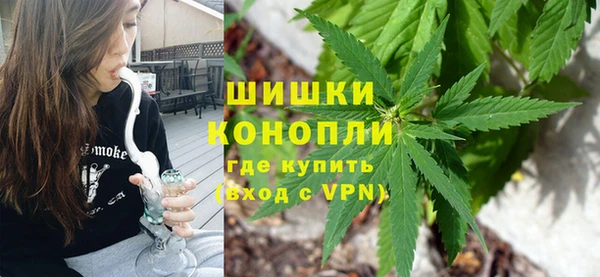 гашик Кодинск